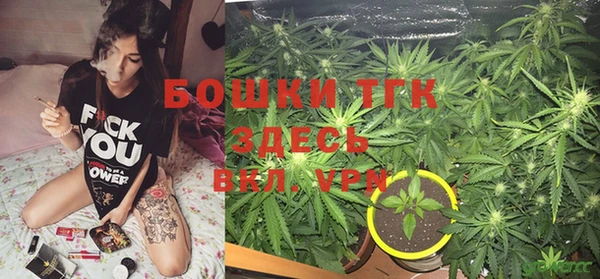 ПСИЛОЦИБИНОВЫЕ ГРИБЫ Белоозёрский