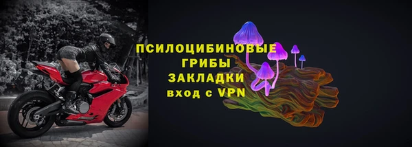 ПСИЛОЦИБИНОВЫЕ ГРИБЫ Белоозёрский